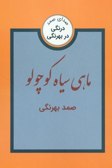 عکس ماهی سیاه کوچولو و سه داستان دیگر (درنگی در بهرنگی)
