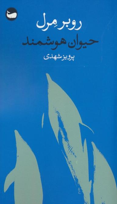 عکس حیوان هوشمند