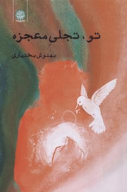 عکس تو، تجلی معجزه (ایجاز)