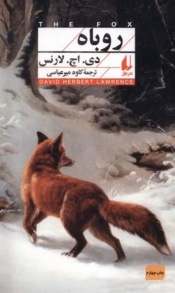 عکس روباه (افق)