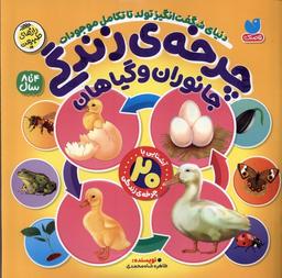 عکس چرخهٔ زندگی (جانوران‌وگیاهان) ذکر#