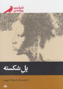 عکس پل شکسته