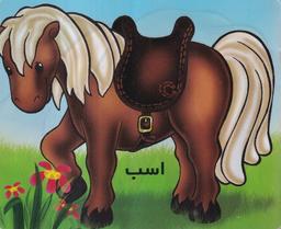 عکس آموزش خردسالان (اسب) خانه ادبیات#