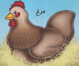عکس آموزش خردسالان (مرغ) خانه ادبیات#