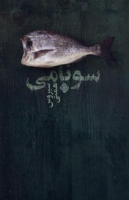 عکس سونامی (نیستان) *
