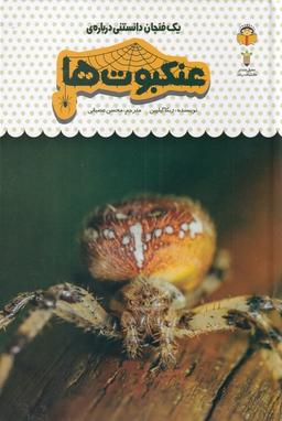 عکس یک فنجان دانستنی درباره‌ی (۲۵) عنکبوت‌ها (نوشته) #