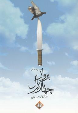 عکس پرواز با بال چهارم (مجموعهٔ شعر)