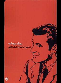 عکس روباه سوخته (کارگاه‌اتفاق)