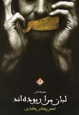 عکس لبان مرا ربوده‌اند (مجموعهٔ شعر)