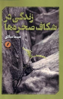 عکس زندگی در شکاف صخره‌ها (نقدفرهنگ)