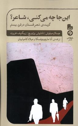 عکس این جا چه می‌کنی شاعر (خوانه) *