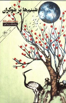 عکس شبنم‌ها برشوکران (فصل‌پنجم) @