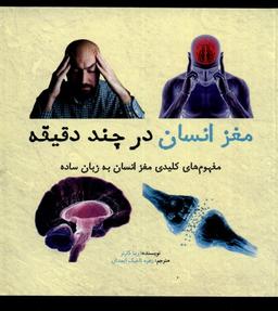 عکس مغز انسان در چند دقیقه (نشرشهر)