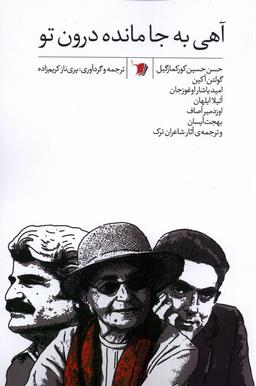 عکس آهی به جا مانده درون تو (سیب‌سرخ) @