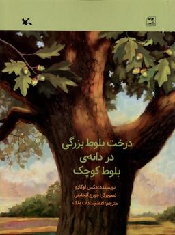 عکس درخت بلوط بزرگی در دانهٔ بلوط کوچک (کانون‌پرورش) #