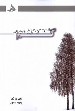 عکس گم شده در حزن صدایی (کتاب‌هرمز) *