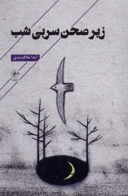 عکس زیر صحن سربی شب (فصل‌پنجم) @