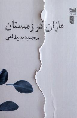 عکس ماژان در زمستان (خزه)
