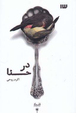 عکس در حنا (سیزده) *