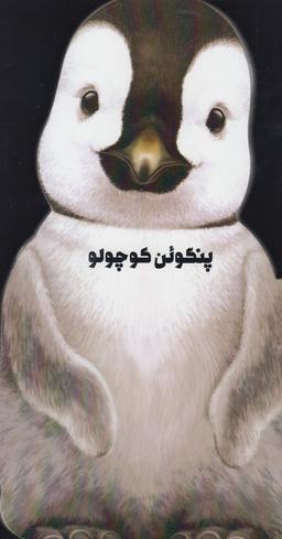 عکس پنگوئن کوچولو