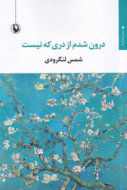 عکس درون شدم از دری که نیست