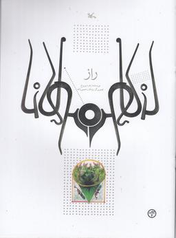 عکس راز (مولانا)