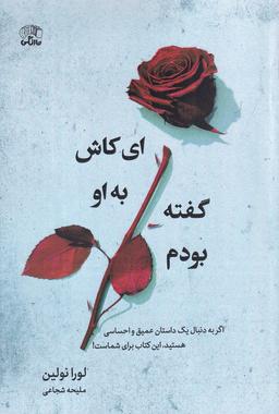 عکس ای کاش به او گفته بودم
