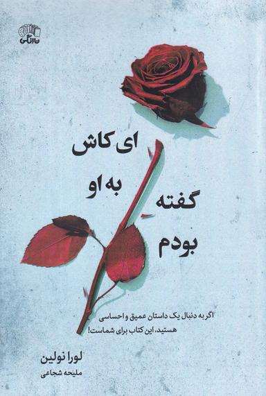 عکس ای کاش به او گفته بودم