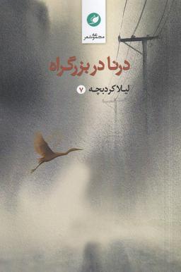 عکس درنا در بزرگراه