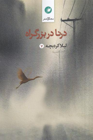 عکس درنا در بزرگراه