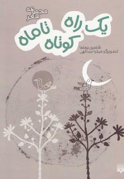 عکس یک راه کوتاه تا ماه