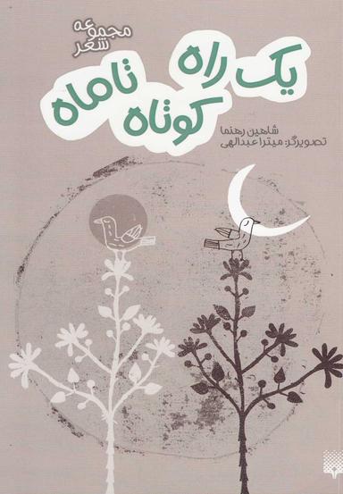 عکس یک راه کوتاه تا ماه