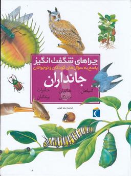 عکس چراهای شگفت‌انگیز: جانداران