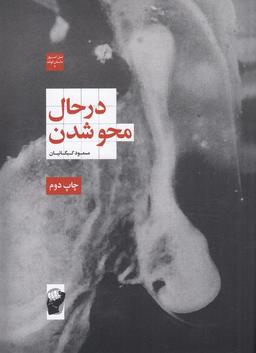 عکس در حال محو شدن