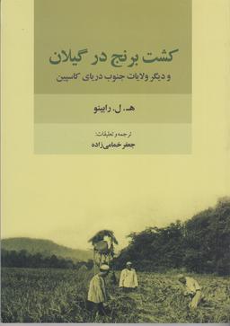 عکس کشت برنج در گیلان و دیگر ولایات جنوب دریای کاسپین