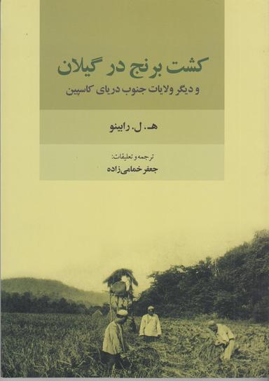 عکس کشت برنج در گیلان و دیگر ولایات جنوب دریای کاسپین