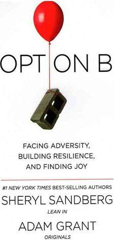 عکس Option B