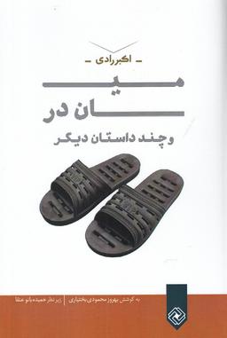 عکس میان در و چند داستان دیگر