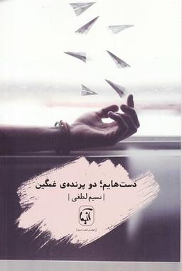 عکس دست‌هایم؛ دو پرندهٔ غمگین