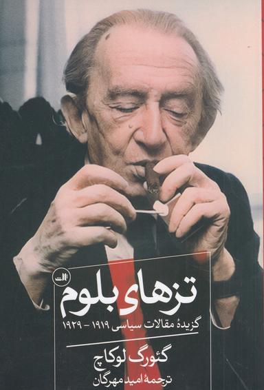 عکس تزهای بلوم: گزیده مقالات سیاسی ۱۹۲۹ - ۱۹۱۹