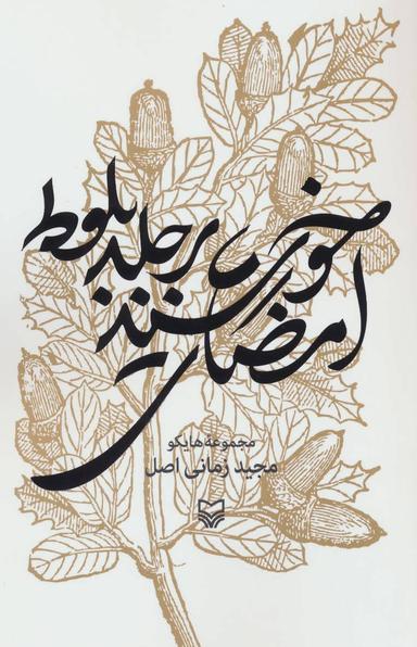 عکس امضای خورشید بر جلد بلوط