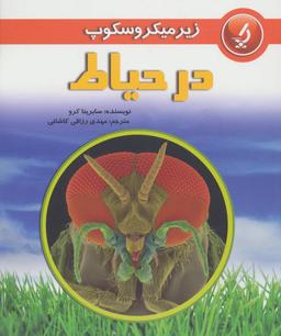 عکس در حیاط