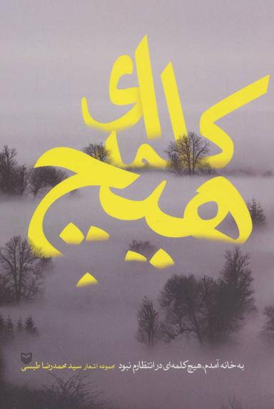 عکس به خانه آمدم، هیچ کلمه‌ای در انتظارم نبود