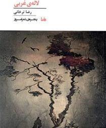 عکس لالهٔ غربی
