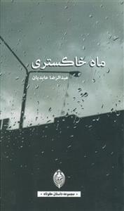عکس ماه خاکستری