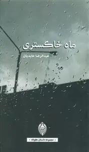عکس ماه خاکستری