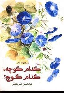 عکس کدام کوچه، کدام کوچ؟
