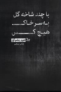 عکس با چند شاخه گل به سر خاک هیچ‌کس