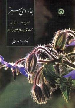 عکس مشق سالاد