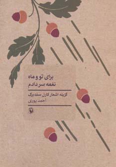 عکس برای تو و ماه نغمه سر دادم